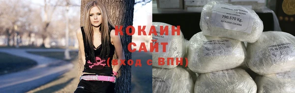 дмт Алзамай