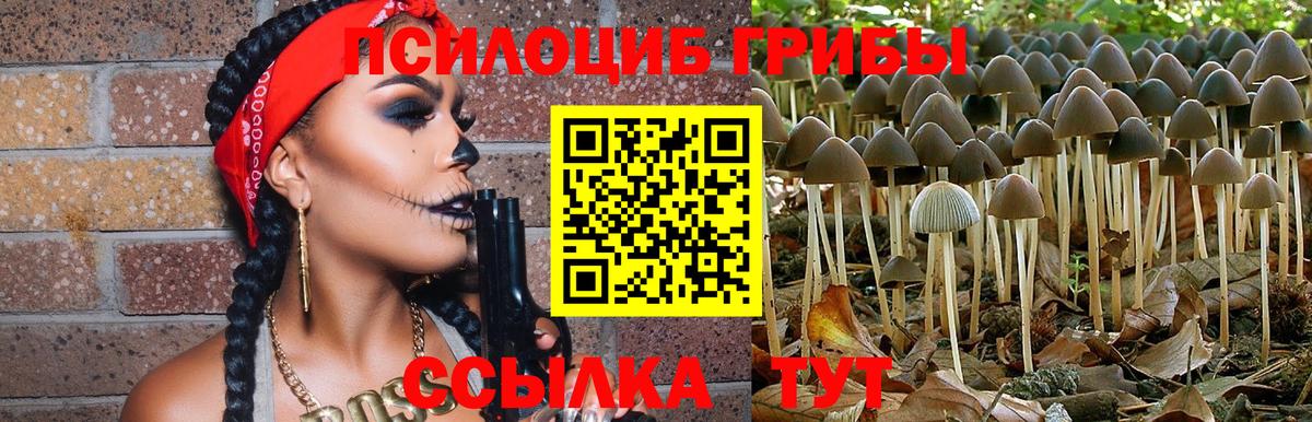 Галлюциногенные грибы Cubensis Ливны